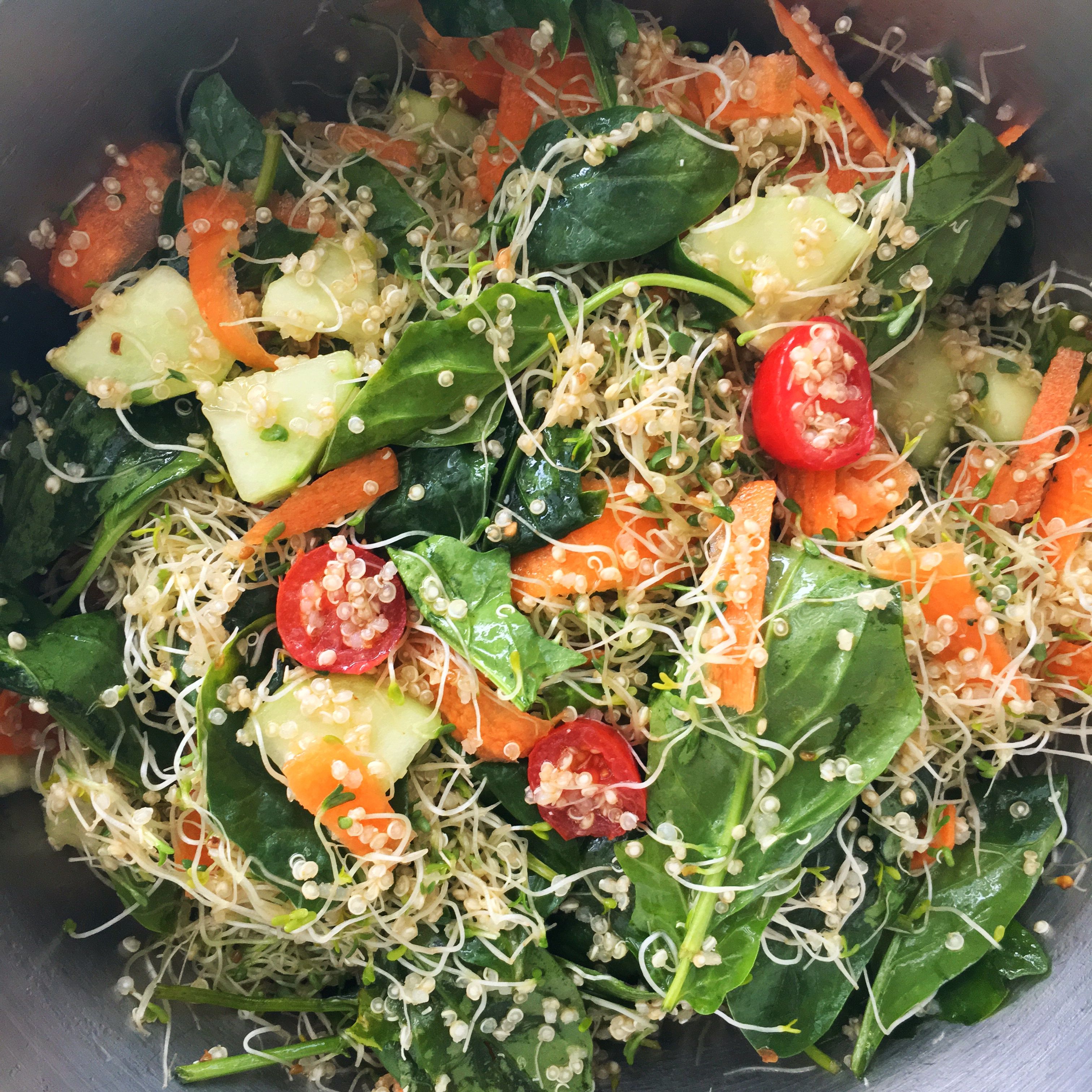 Ensalada Sana De Espinaca Germen De Alfalfa Y Quinoa Aderezo De ~ Cenas Ligeras Y Sanas Para Adelgazar Ensalada Sana De Espinaca Germen De Alfalfa Y Quinoa Aderezo De ~ Cenas Ligeras Y Sanas Para Adelgazar