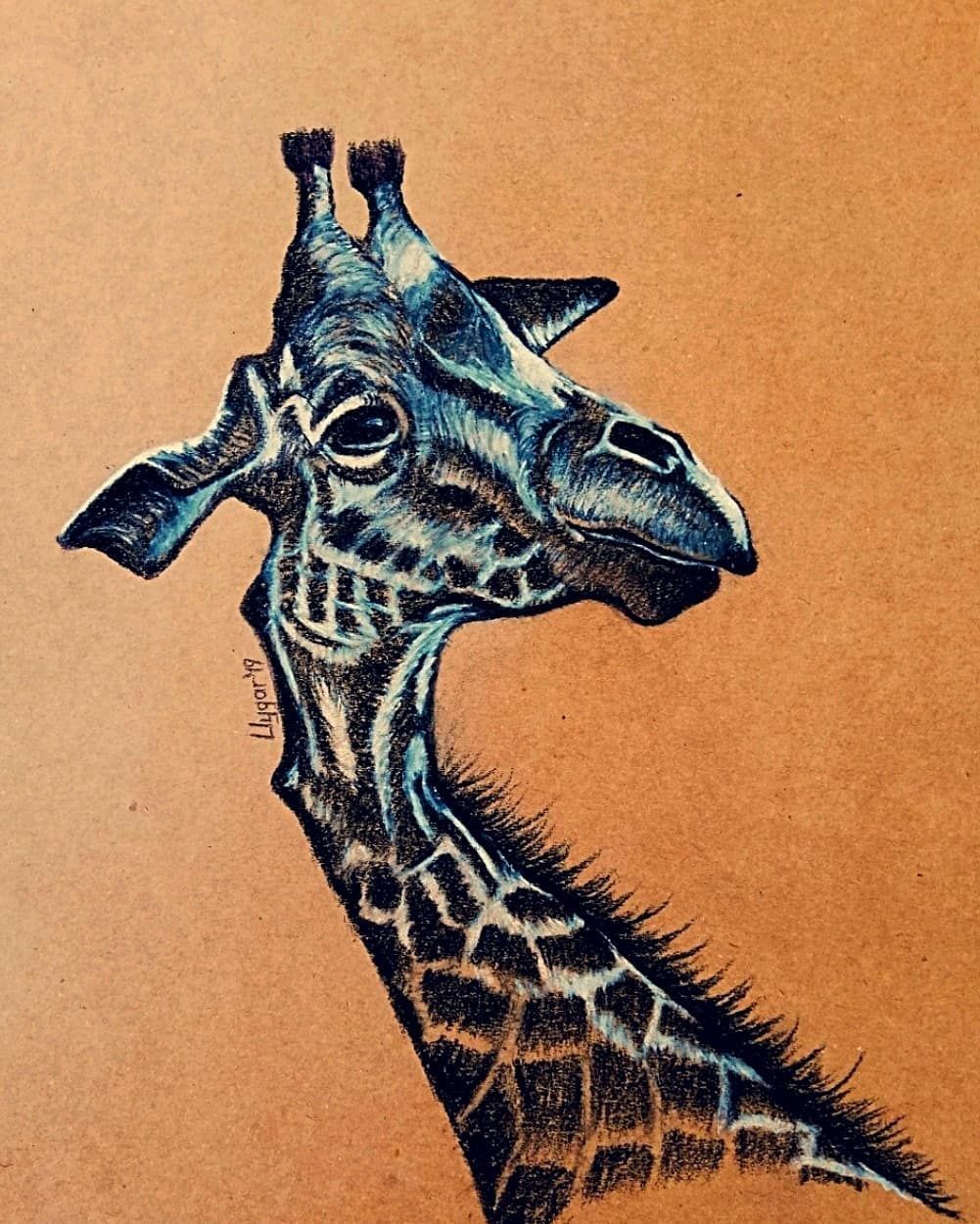 Soft Pastel Kalem Calismasi Soft Pastel Pen Work Zurafa Giraffe Kraft Kagit Cizimi Kraft Paper Drawing Kraft Kagit 25x 35 C Hayvan Cizimi Drawing Cizim