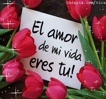imagenesde rosas