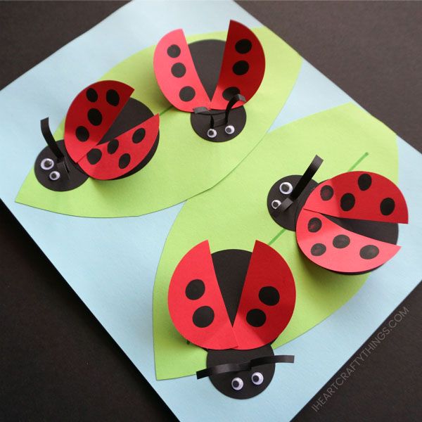How to Make a Paper Ladybug Craft | Ladybug crafts, Insect crafts