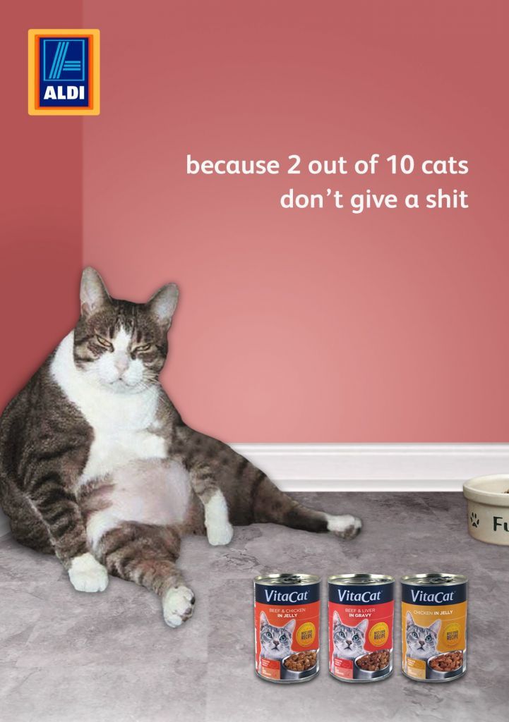 Pin on Cat Food Pin on Cat Food