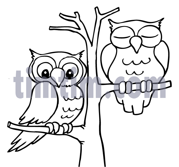 A bw cartoon drawing of 2 owls sitting on branches of a tree A bw cartoon drawing of 2 owls sitting on branches of a tree