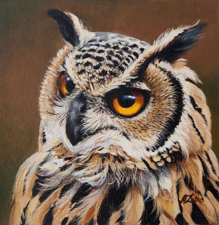 Owl Oil Painting By Norma Beatriz Zaro Owl Painting Acrylic Owl 06a7dba4747928b11e73072ae9f34422