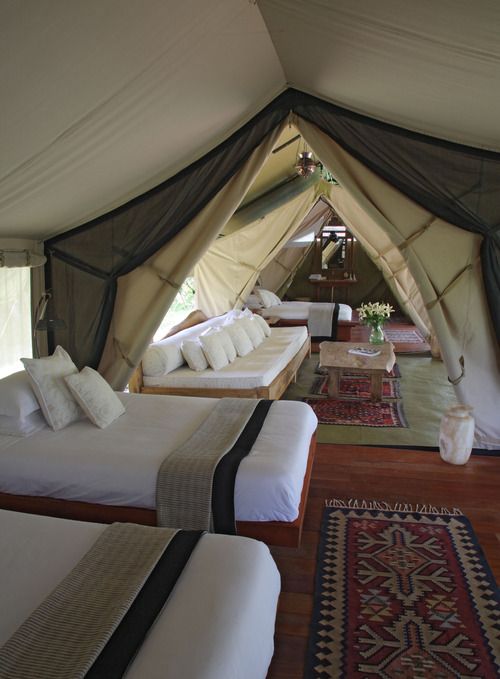 So Maybe Not For Yosemite But This Looks Like The Best Tent Ever So Maybe Not For Yosemite But This Looks Like The Best Tent Ever Imagine On Beach