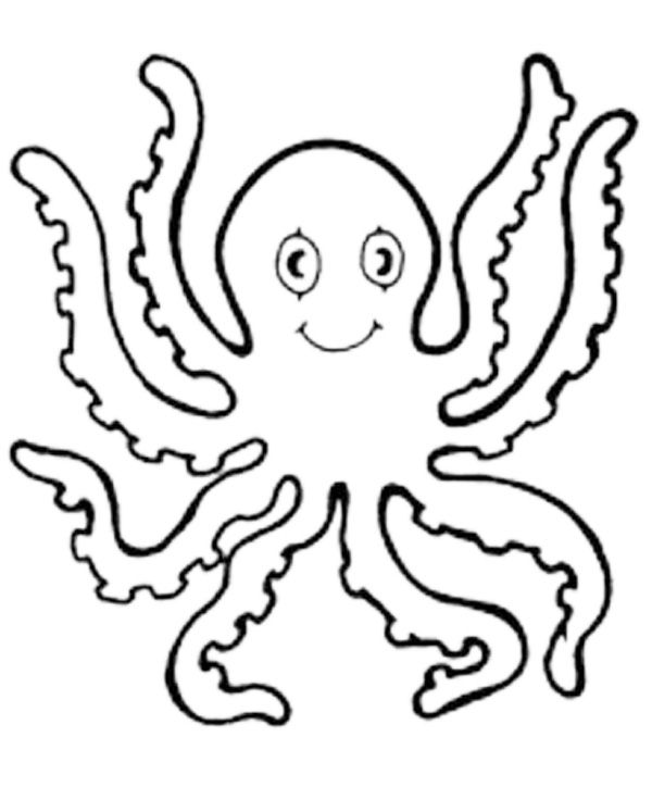 Download Free Octopus Coloring Pages Printable - Free Coloring Sheets | Octopus coloring page, Octopus ...