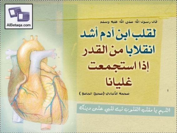 Pin By رغداء أرمنازي On الفقه الإسلامي In 2021 Islam Best Gifts Truth