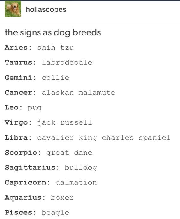 Horoscopes Tumblr Google Search Interesting Zodiac Horoscope