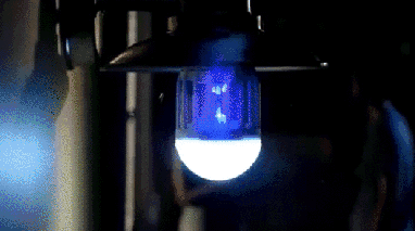 animation bug light | Novelty lamp, Lava lamp, Lamp
