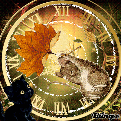 Don't forget to turn your clocks back 1 hour Nov 1 (USA) | Clocks back, Turn ons, Fluffy animals