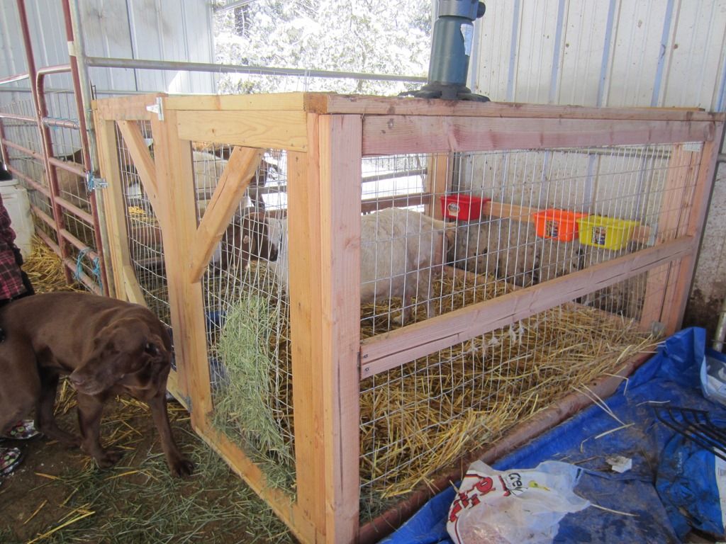 Goat Stall Pictures Goat Kidding Stalls Quartz Ridge Ranch Keeping goat-stall-pictures-goat-kidding-stalls-quartz-ridge-ranch-keeping