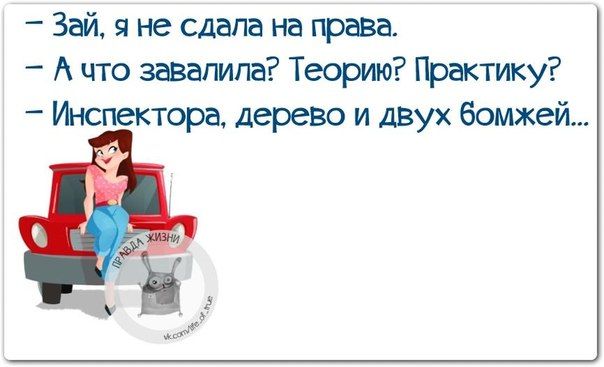 Сдала на права картинки прикольные, моей подруги