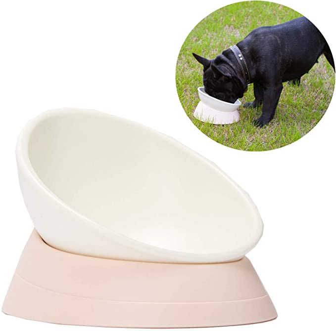 Petcee Large Dog Bowl Large Stainless Steel Dog Bowls With Anti Slip Rubber Base For Pet Food And Water Hol Stainless Steel Dog Bowls Dog Bowls Large Dog Bowls