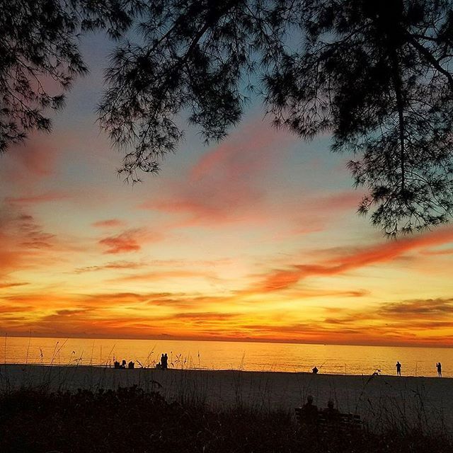 sunset cruise anna maria island