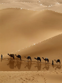 Pin von 경희 남 auf GIFS - ANIMALS