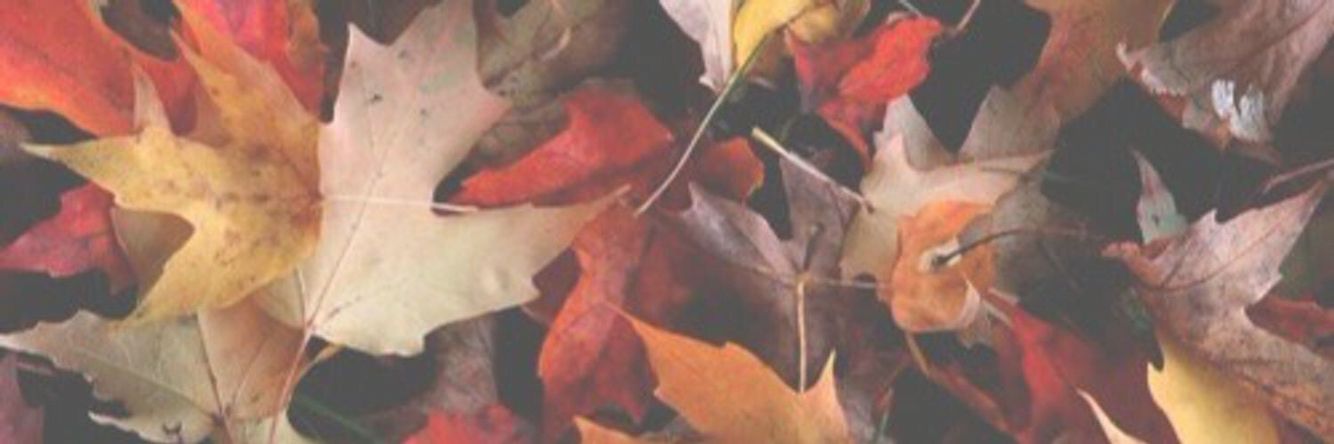 pin by zong on randoms fall facebook cover twitter autumn headers