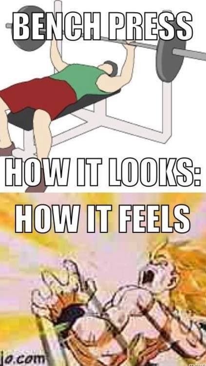 Bodybuilding Meme Bench Press Dbz Memes Bench Press