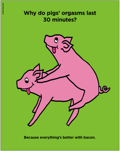 A pigs orgasm lasts pics 86