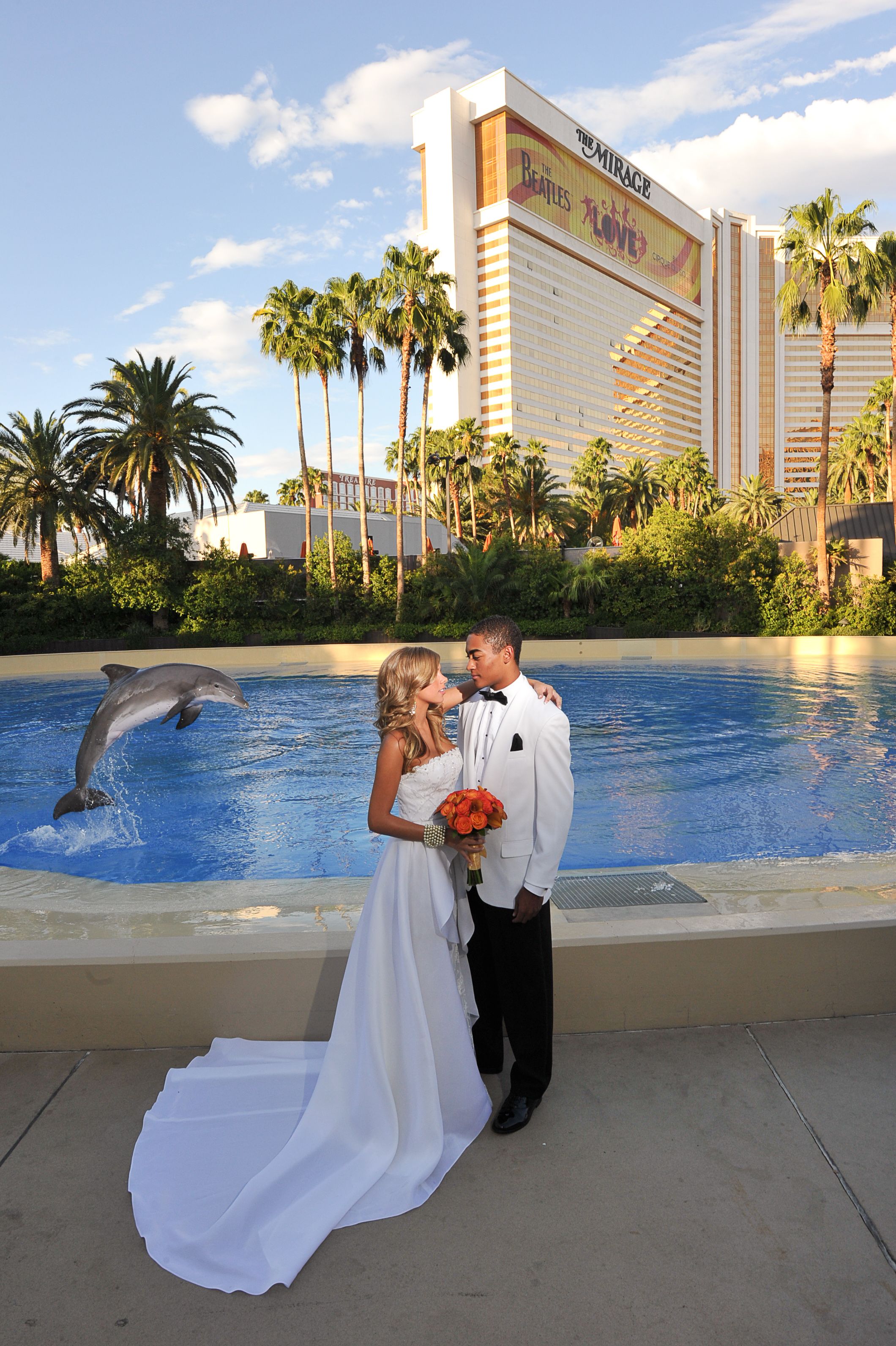 Weddings At The Mirage Our Dolphins Want To Congratulate You Too Weddings At The Mirage Our Dolphins Want To Congratulate You Too Info