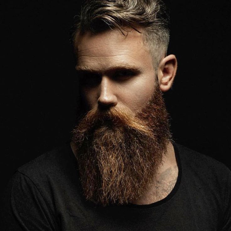 Résultat de recherche d'images pour "beard beautiful" Hipster beard, Beard styles, Long hair Résultat de recherche d'images pour "beard beautiful" Hipster beard, Beard styles, Long hair