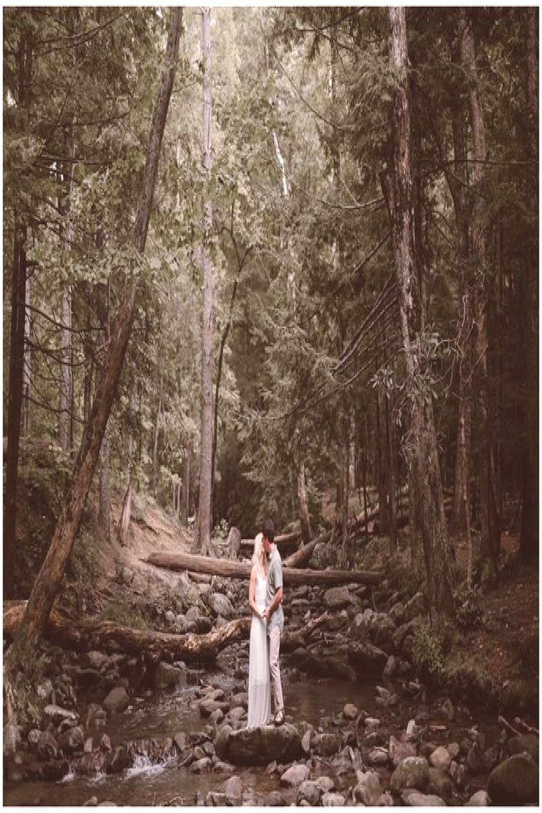 Cades Cove Engagement Photos Wildlife Viewing Cades cove engagement photos cades cove verlobungs
