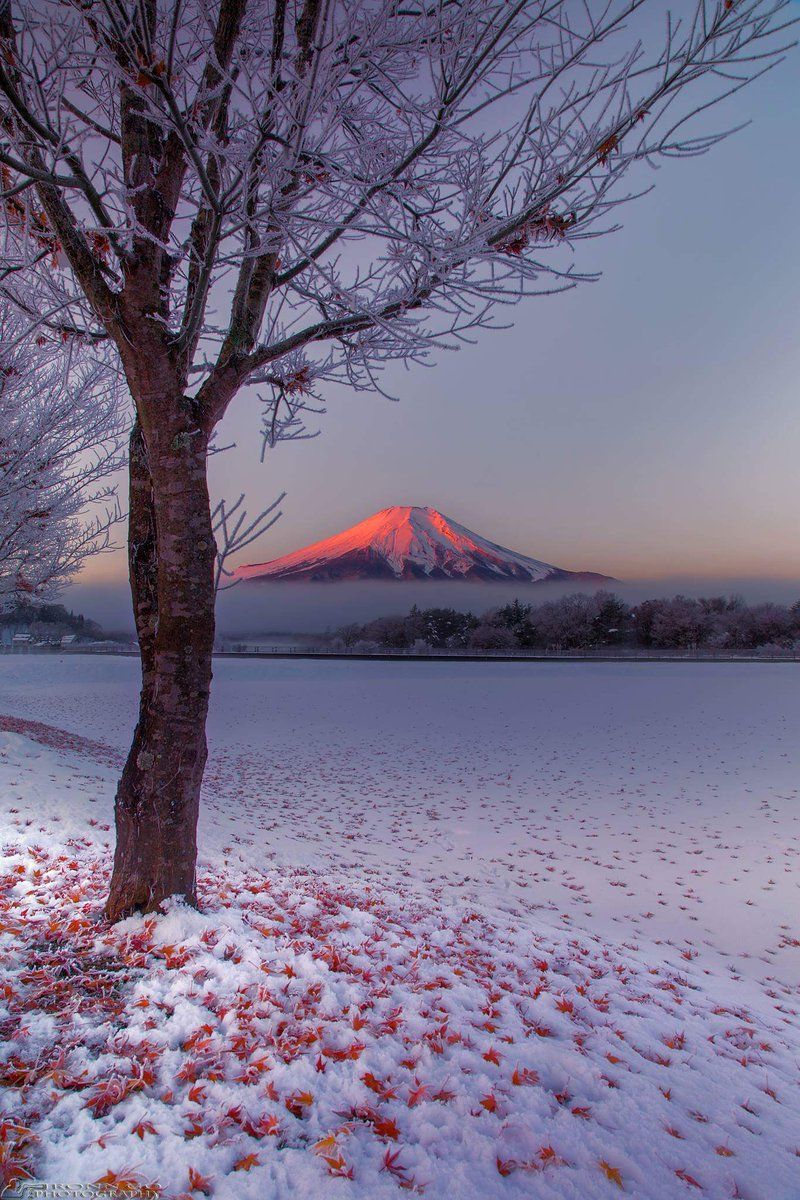 Fuji Mount 美しい風景 風景 綺麗な景色 Fuji Mount 美しい風景 風景 綺麗な景色