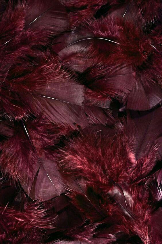 pin by color boards on burgundy wine in 2018 pinterest labs