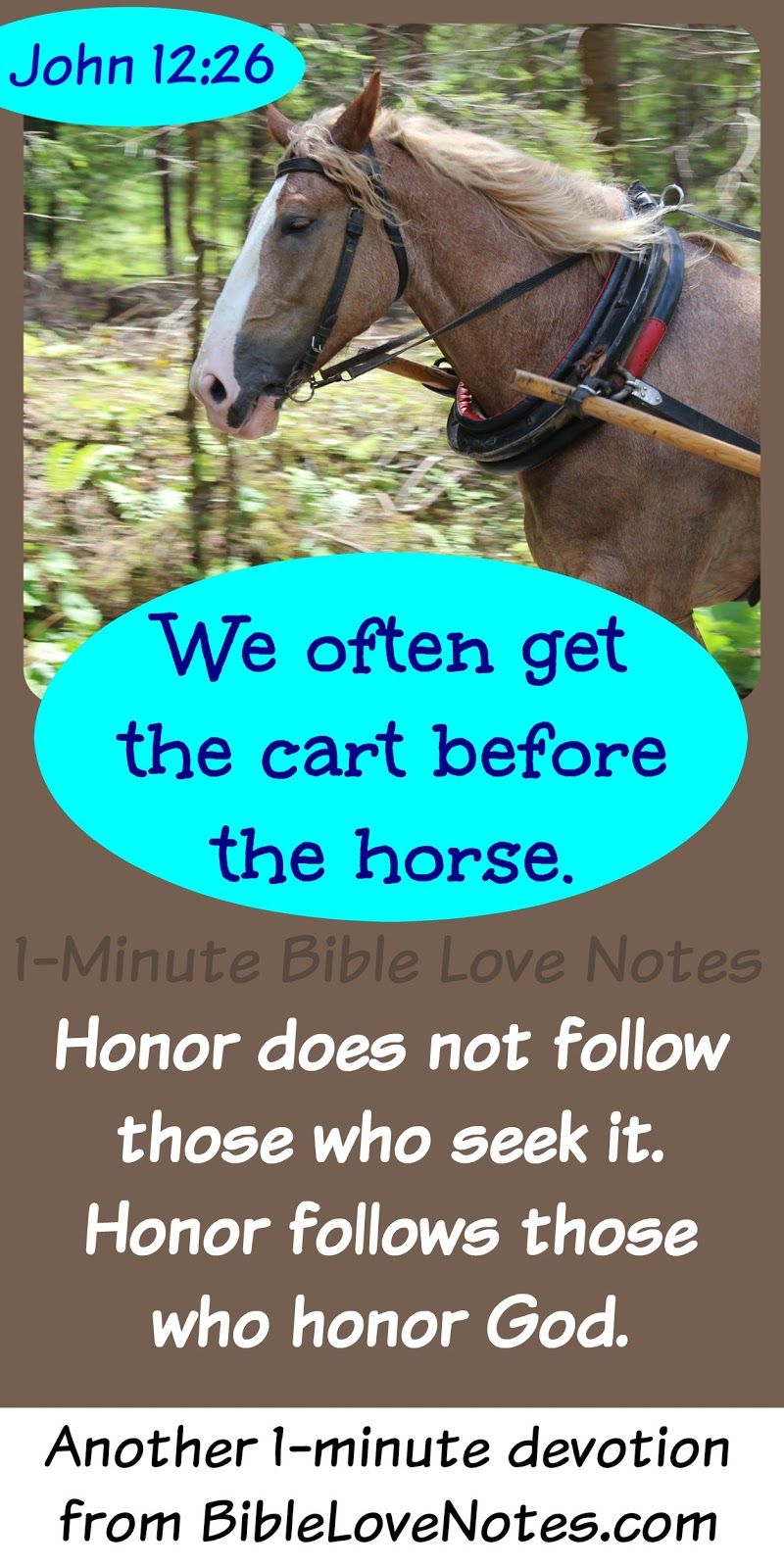 We Keep Getting The Cart Before The Horse Bible Love Bible Devotions Spiritual Words