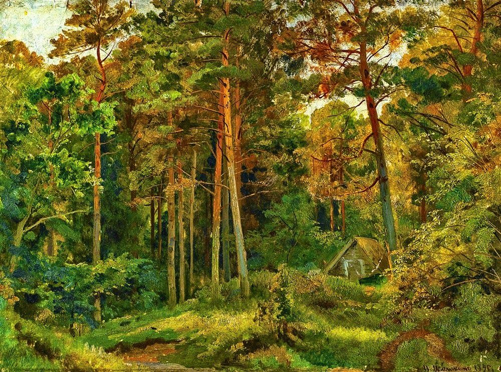 Картинки шишкин лес, цветы любимой