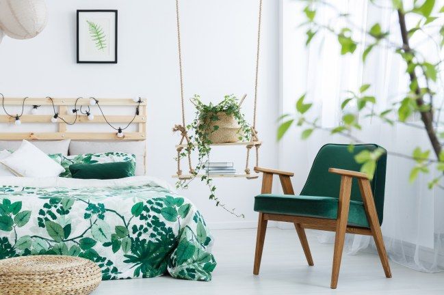 Endlich wieder Durchschlafen! 7 luftreinigende Pflanzen fürs Schlafzimmer #pflanzenimschlafzimmer