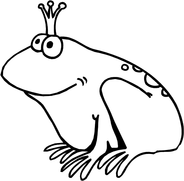 rana anfibio sapo animales infantiles pinterest frog