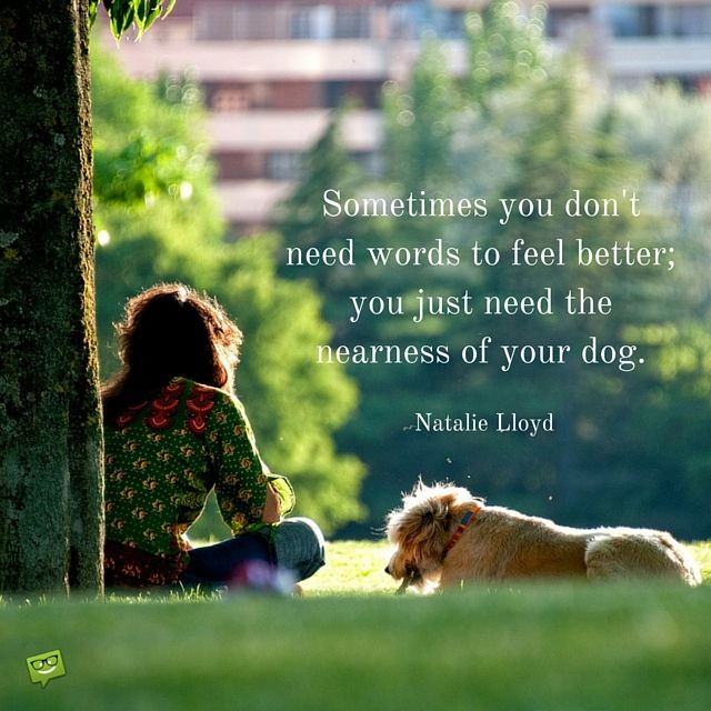 60 Dog Quotes For People Who Love Dogs Love Love Love Pinterest Delectable Quotes About A Girl And Her Dog 60 Dog Quotes For People Who Love Dogs Love Love Love Pinterest Delectable Quotes About A Girl And Her Dog