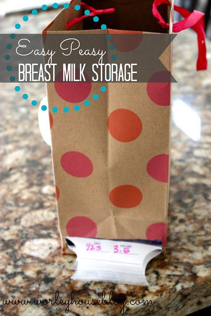 Easytmilkstorageidea By Andrea Worley Photography Via Flickr Easy T Milk Storage Idea By Worley House Prob Would Use A Firm Plastic Gift Bag To Ensure The Wetness From Freezer Didn Make Yucky