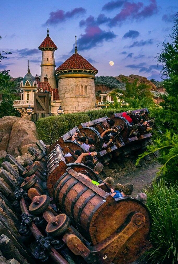 Overview of Walt Disney World Orlando Today – Clever Journeys Walt Disney World Orlando, Disney World Magic Kingdom, Disney World Florida, Disney World Vacation, Disney World Resorts, Disney Vacations, Disneyland Florida, Disney Travel, Disney Rides