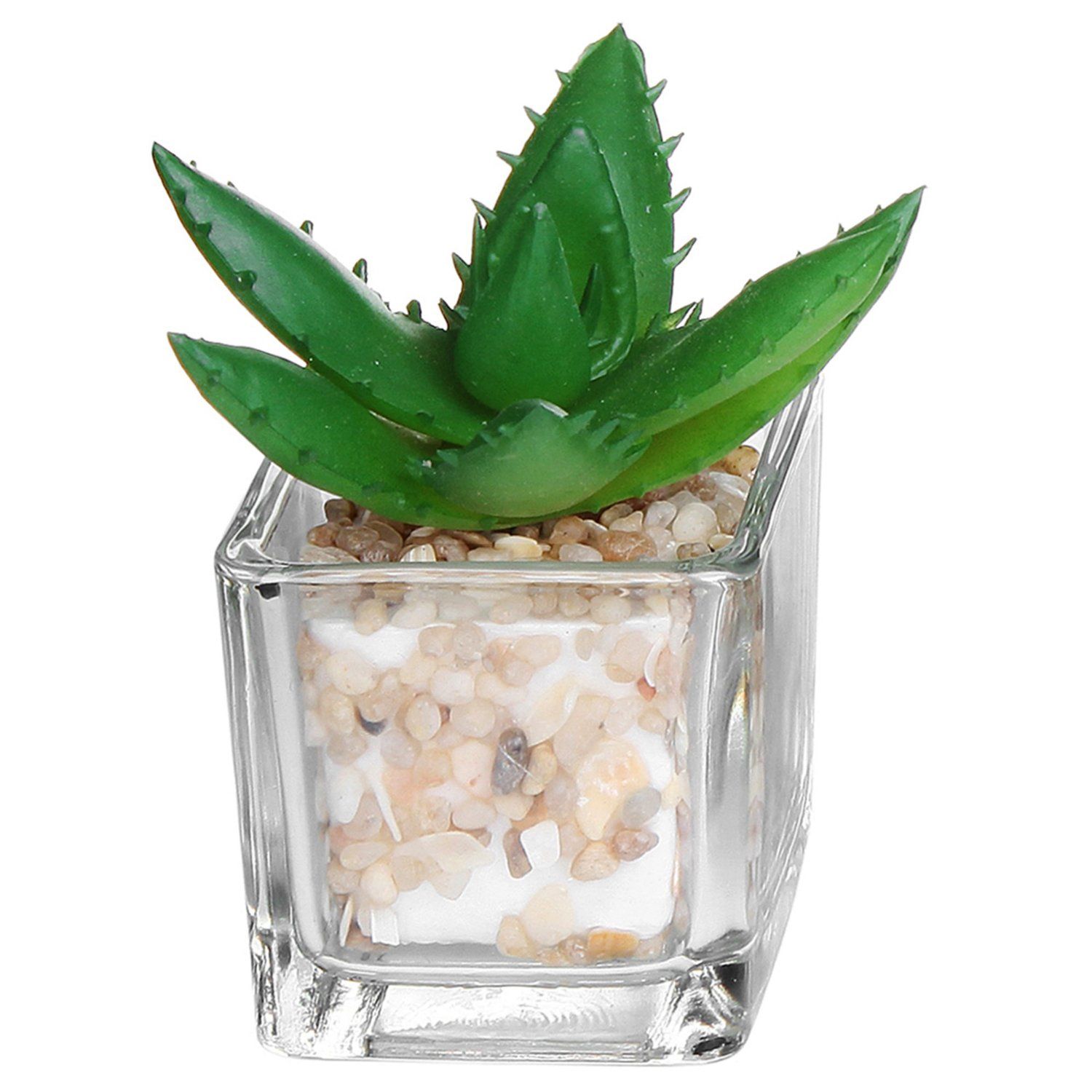 Amazoncom Small Glass Cube Artificial Plant Modern Home Decor Amazoncom Small Glass Cube Artificial Plant Modern Home Decor