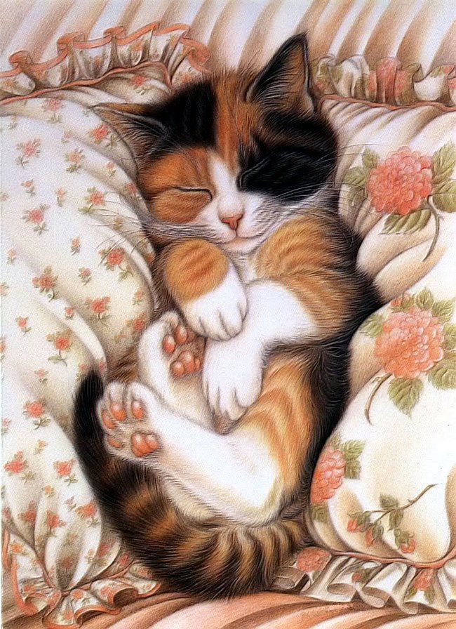Днем, кот спит открытка