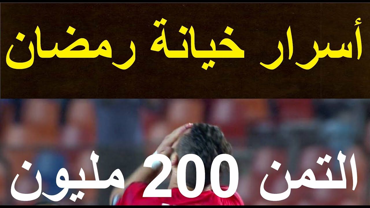 Pin On Sayed Elashoal Gmail Com