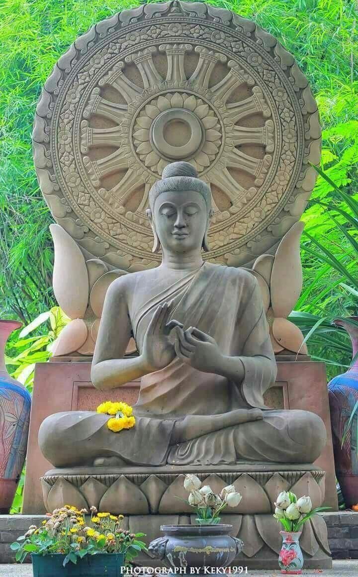 zen buddhist meditation zen buddhist meditation