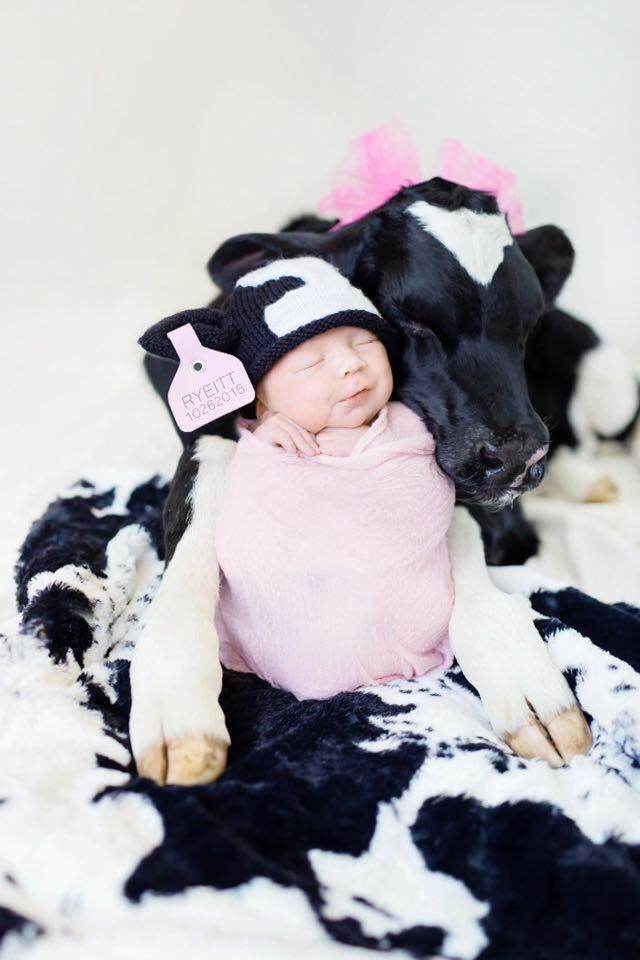 Baby Trend Secure 35 Infant Car Seat Girl Newborn Pictures Stuff Country - Baby Trend Secure Snap Gear 35 Infant Car Seat Pink Baby Trend Secure 35 Infant Car Seat Girl Newborn Pictures Stuff Country - Baby Trend Secure Snap Gear 35 Infant Car Seat Pink