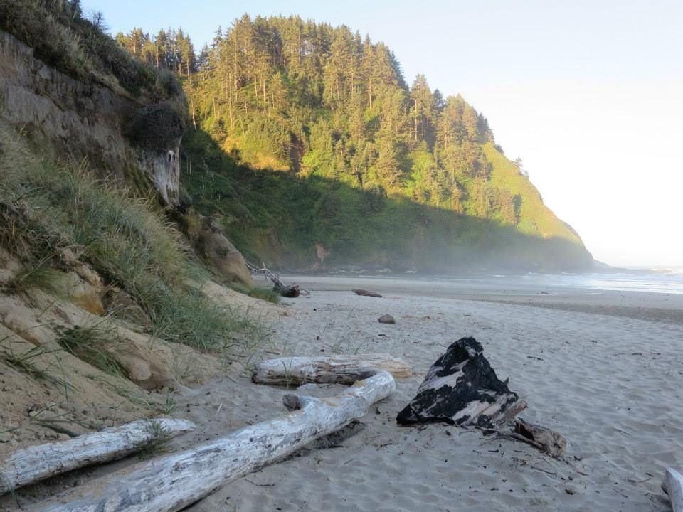 Jessie M Honeyman State Park Florence Or Gps Campsites Rates Photos Reviews Amenities Activities Policies And Ev State Parks Oregon Travel Campsite