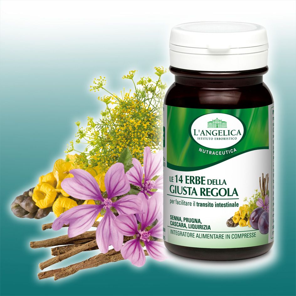 tisane per dimagrire langelica tisane per dimagrire langelica