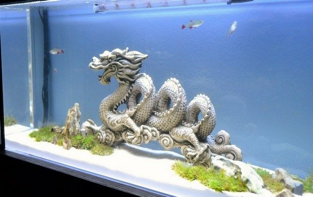 Deko für Aquarium selber machen - 30 kreative Ideen | Aquarium ... Deko für Aquarium selber machen - 30 kreative Ideen | Aquarium ...