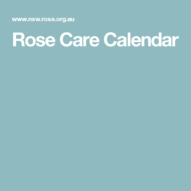 Rose Care Calendar Care calendar, Rose care, Roses garden care