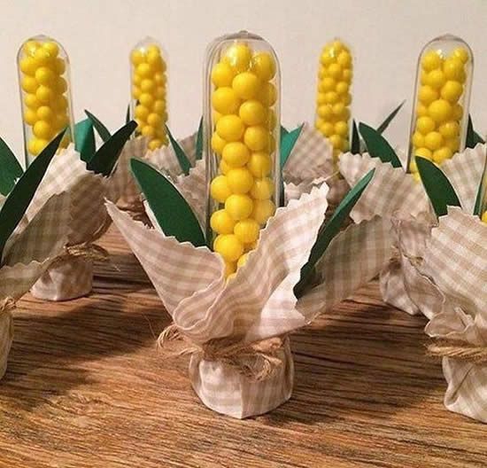 Lembrancinhas para Festa Junina com Tubetes | Como fazer em casa Farm Party, Birthday Party Themes, Kids Party, Birthday Parties, Birthday Ideas, Farm Animal Birthday, Farm Birthday, Tractor Birthday, Twin Birthday