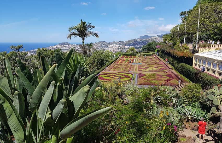 Botanical Gardens, above Funchal, Madeira Botanical