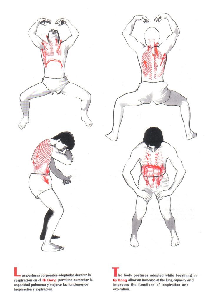 Beneficios Para La Salud En La Práctica Qigong Qigong Ejercicios De Tai Chi Ejercicios Respiratorios