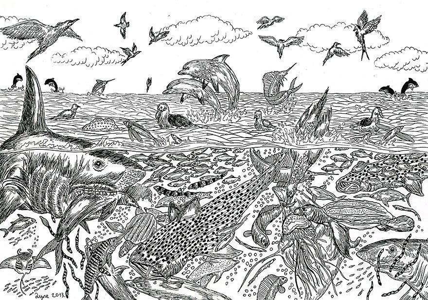 11 year old child prodigy creates stunningly detailed drawings 11 year old child prodigy creates stunningly detailed drawings bursting with life 9 14