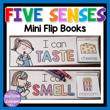 Five Senses Five Senses Preschool, 5 Senses Activities, My Five Senses, Science Activities, Ppcd Activities, Science Ideas, Kindergarten Mini Books, Kindergarten Science, Teaching Science