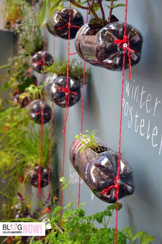 Botellas Coca Cola