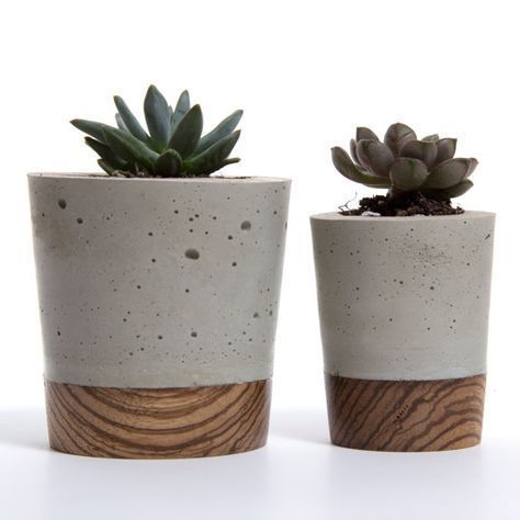 Mini Concrete Planter - Zebra Holzsockel von Wasatch Creative - BelivinDesign - Beliebt Bilde...