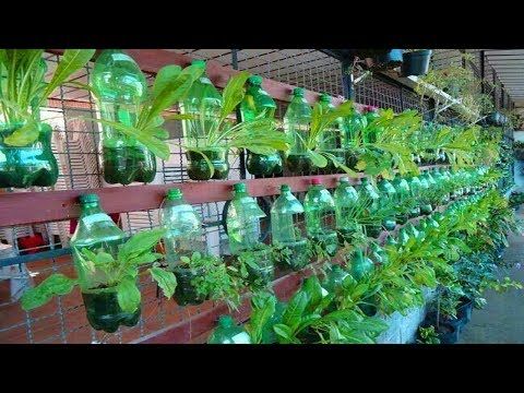 Pin On Garden Design Ideas - Gardening In A Plastic Bag Pin On Garden Design Ideas - Gardening In A Plastic Bag